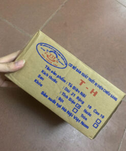 Lắp Đặt Hộp Kiểm Tra Tiếp Địa