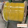 Dây Tiếp Địa 1x25